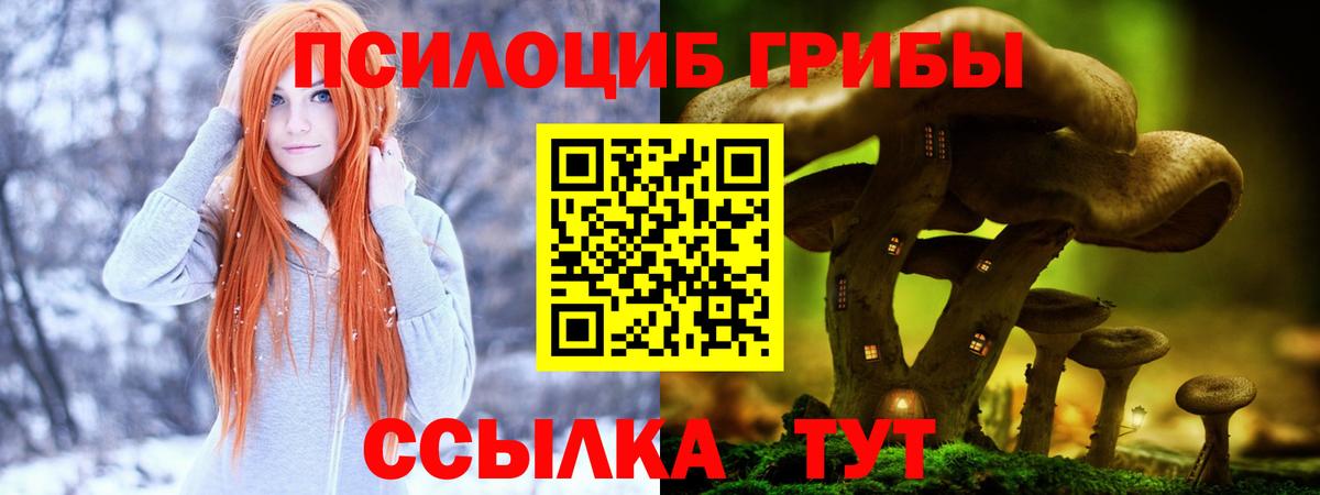 Псилоцибиновые грибы мицелий  Вход с VPN  Калач-на-Дону 